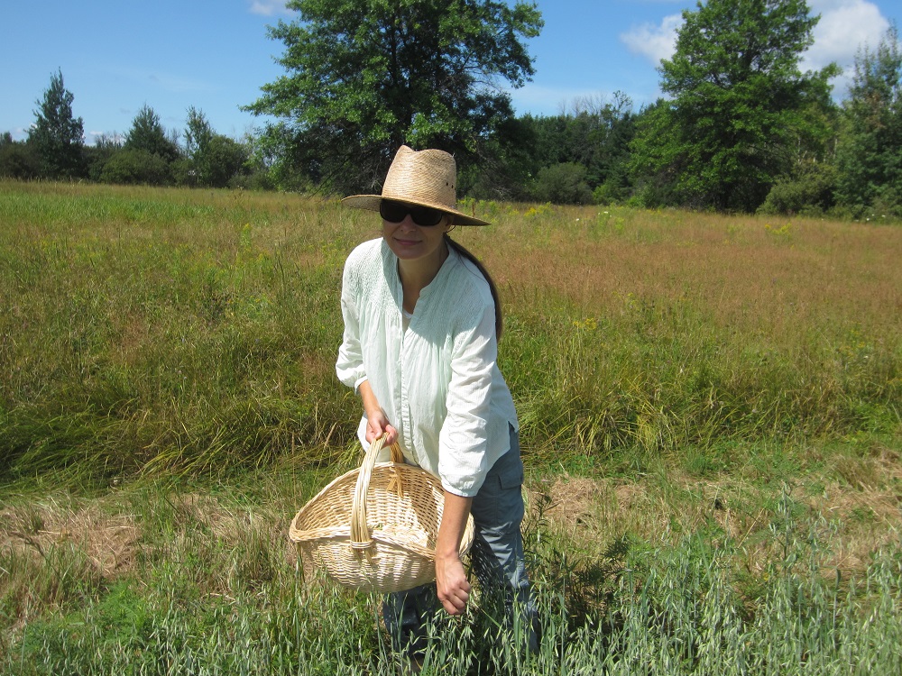 Wild Garden harvest