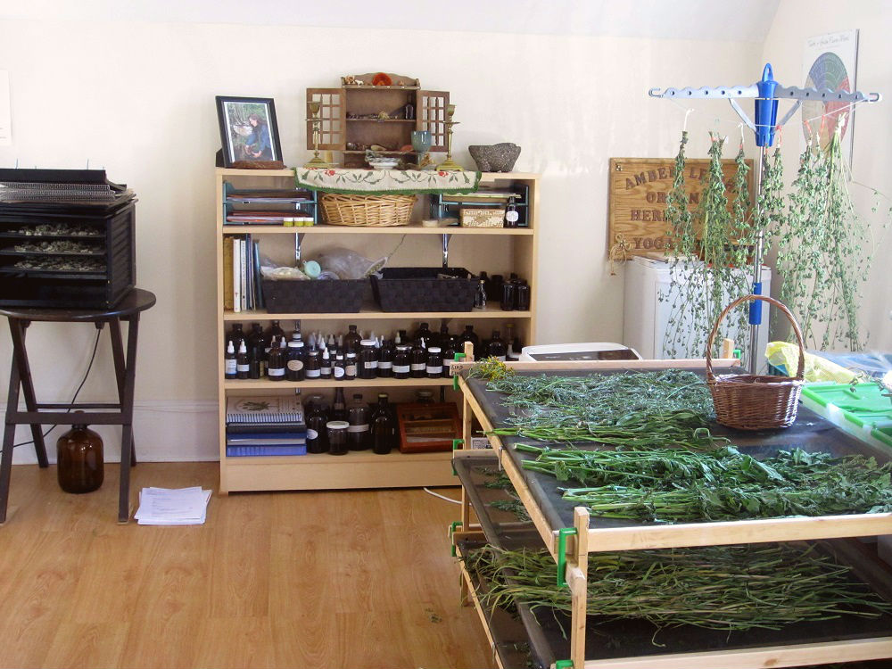 Wild Garden apothecary