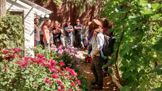 Nature Connections urban garden