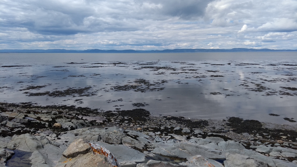 St Lawrence river at Cacouna