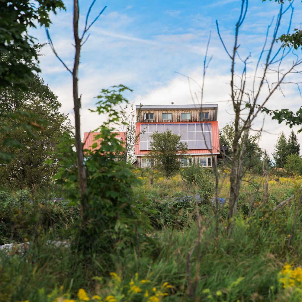 Kula Permaculture Farm