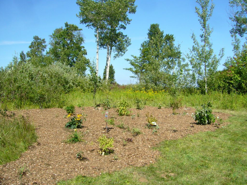 edible forest garden planted during the Nishnawbe Aski Nation Food Symposium in Thunder Bay