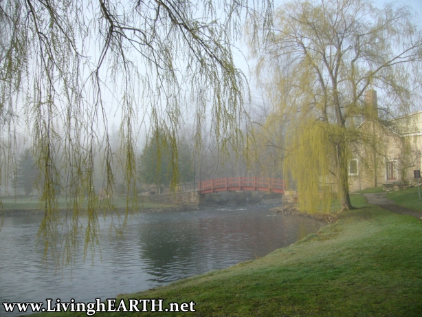Stewart Park in Perth Ontario