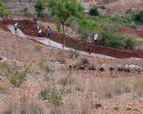 water-harvesting earthworks