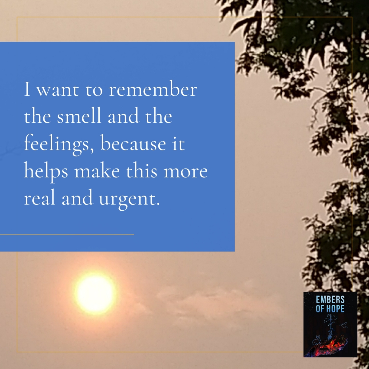 smoky skies from wildfires and quote