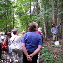 Ferme et Foret