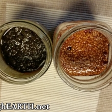 oregano and elderberry tinctures