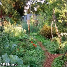 still green in early November