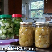 green tomato salsa and lacto-fermented green tomato pickles