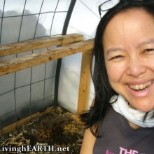happy in the greenhouse