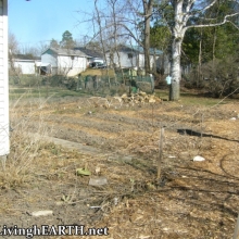 a very long goji runner... almost 15 feet?!